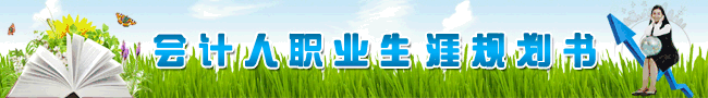 会计人职业规划书